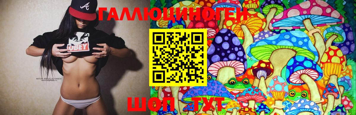 Лениногорск  Псилоцибиновые грибы ЛСД  Галлюциногенные грибы MAGIC MUSHROOMS  Вход с VPN 